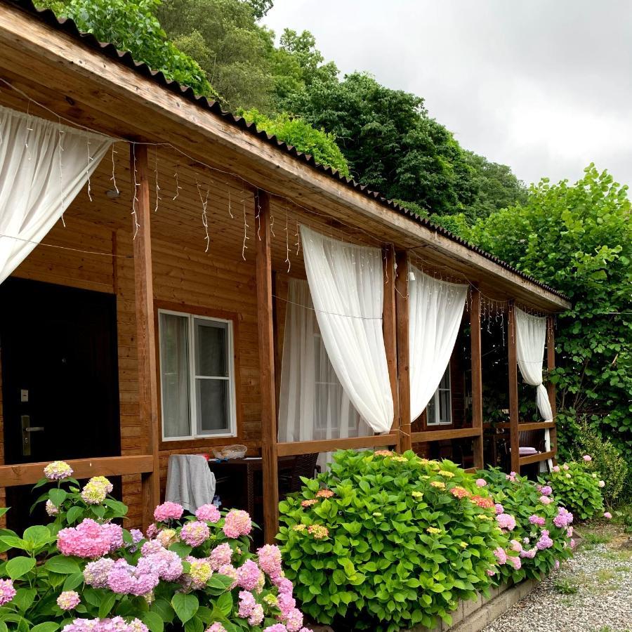 Guest House Ahan กากรา ภายนอก รูปภาพ