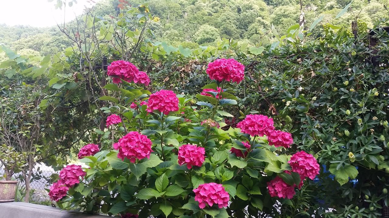 Guest House Ahan กากรา ภายนอก รูปภาพ